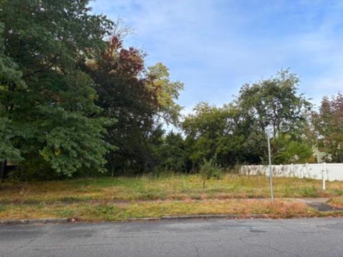 0 Buckingham St, Springfield - $65,000